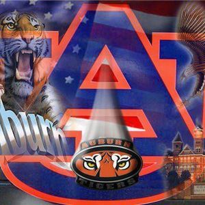 Meet your Posher, Robby